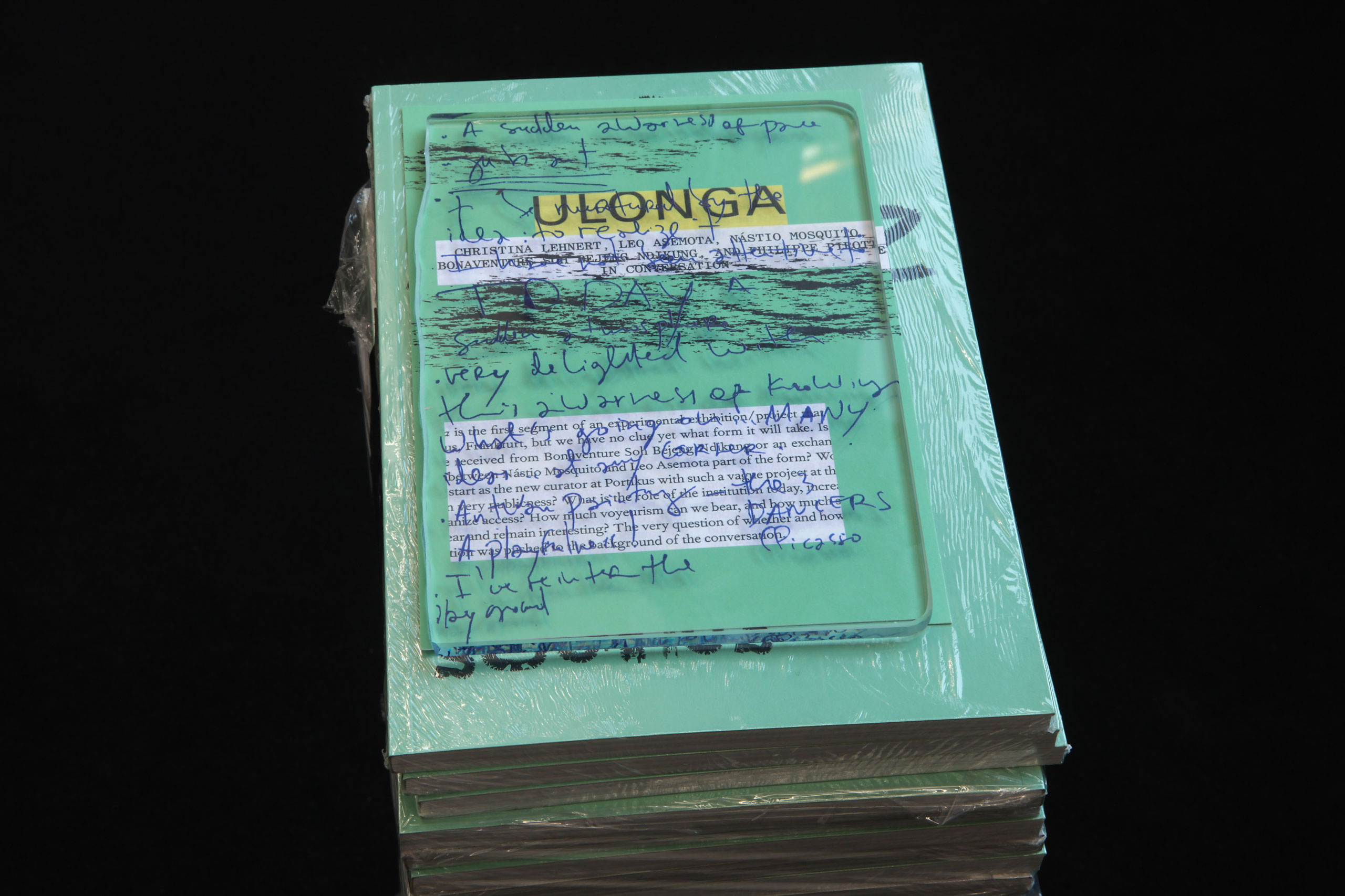 Multimedia artist and elucidator Nástio Mosquito